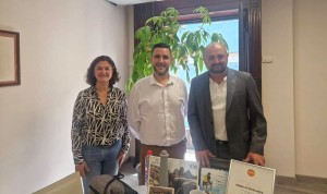Ingenio presenta al Cabildo propuestas e iniciativas de dinamizacin turstica