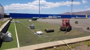 Deportes inicia la renovacin del csped y los riegos de los estadios de Castillo y Juan Grande