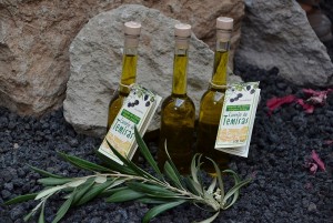 Agimes presenta la cosecha de aceite de oliva virgen extra Casero de Temisas 