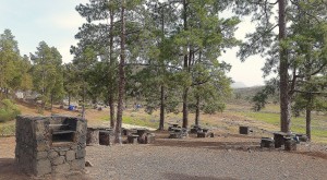 El Cabildo declara la alerta por riesgo de incendios forestales en Gran Canaria