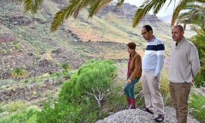 Mogn lidera en Gran Canaria la limpieza y reforestacin de barrancos 