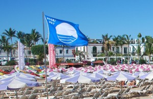 El Ayuntamiento solicitar los motivos de la retirada de la Bandera Azul de Playa de Mogn