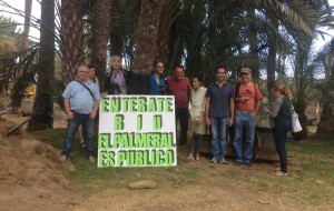 Ecologistas constituye la plataforma por la proteccin del palmeral del Oasis de Maspalomas