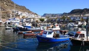 El Cabildo destina 100.000 euros a la instalacin de energa renovable en las cofradas de pescadores de Gran Canaria 