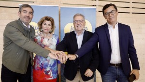 Jos Miguel Bravo de Laguna (Juntos por Gran Canaria) propone revitalizar la isla de Gran Canaria 