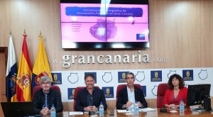 La diocalandra avanza por los palmerales de Gran Canaria pero todava puede ser controlada