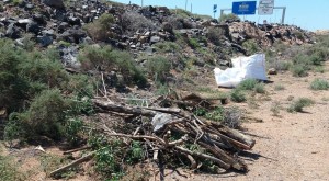 El Cabildo pone en marcha la regeneracin paisajstica de la GC-1 y GC-2 