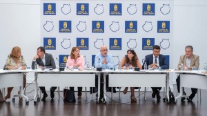 El Cabildo destina 5 millones a paliar los daos directos en viviendas, terrenos y pymes afectadas por los incendios de Gran Canaria