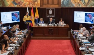 El Plan de Revitalizacin de Gran Canaria arranca con 20 millones para acciones inmediatas tras los incendios