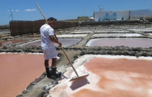 Las Salinas de Tenef reconocida como la mejor sal virgen de Canarias 