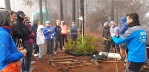 Foresta y 200 voluntarios devuelven el verde a las cumbres de Gran Canaria 