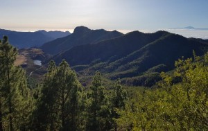 El Cabildo de Gran Canaria presenta 35 propuestas a la futura Ley de Cambio Climtico de Canarias