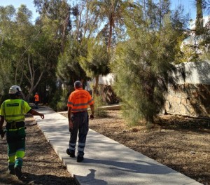 Maspalomas lleva a cabo actuaciones en zonas verdes pblicas  dando respuesta a los vecinos