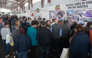 El poder curativo del acebuche cierra la Feria Gran Canaria Me Gusta 