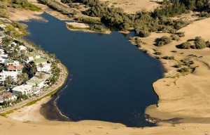 El Cabildo retira 15.000 ejemplares de tilapias de Mozambique de la Charca de Maspalomas