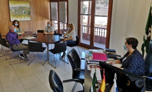 Ingenio busca dinamizar el comercio y entretener a la ciudadana