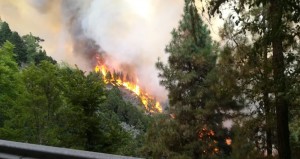 Gran Canaria se enfrenta al riesgo de incendio forestal por temperaturas