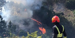 Alerta en Gran Canaria por riesgo de incendios forestales 