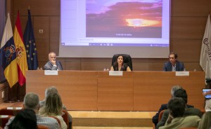 Turismo de Canarias confirma con las aerolneas la recuperacin del 54% de la conectividad en agosto