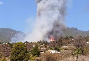 El Gobierno de Canarias declara el nivel 2 y asume la direccin del incendio forestal declarado en La Palma