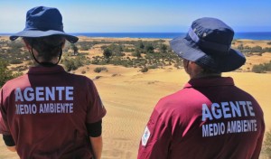 Cabildo ha denunciado a 46 personas por transitar por zonas prohibidas en las Dunas de Maspalomas