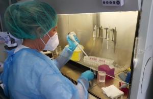 Canarias suma 175 casos de COVID-19 en las ltimas 24 horas