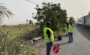 Ingenio continan las acciones del Plan de Empleo de Formacin Forestal