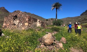 Senderistas descubren la macrorruta moganera de ECO-TUR `Tamaranae: entre Riscos y Barrancos