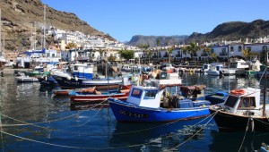 El Gobierno canario destina 695.000 euros  a las cofradas de pescadores 