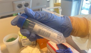 Sanidad comunica 4 fallecidos y 102 casos de COVID-19 en las ltimas 24 horas