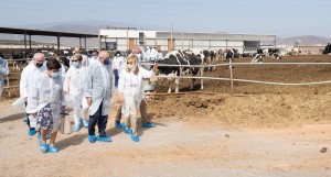 El Cabildo arropa la apertura de la Granja de productos lcteos Sandra