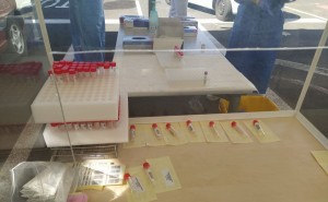 Sanidad comunica 87 casos de COVID-19 en las ltimas 24 horas