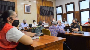 El volcn de La Palma ya afecta a una superficie de 845 hectreas