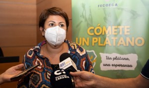 La Federación de Áreas Comerciales recauda 30.000 euros para las Pymes afectadas por el volcán en la Palma
