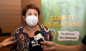 La Federacin de reas Comerciales recauda 30.000 euros para las Pymes afectadas por el volcn en la Palma
