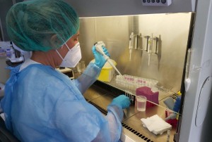 Sanidad notifica 14 fakllecidos y 1.394 nuevos casos de COVID-19 en las ltimas 24 horas