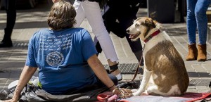 El 74% de las personas sin hogar considera a su perro su principal fuente de apoyo social