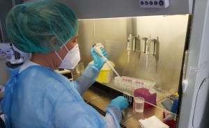 Sanidad registra 918 nuevos casos de COVID-19 en personas de ms de 60 aos en los ltimos cuatro das