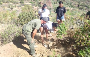 Jvenes del IES Playa de Arinaga plantan en Guayadeque almendreros germinados por ellos mismos