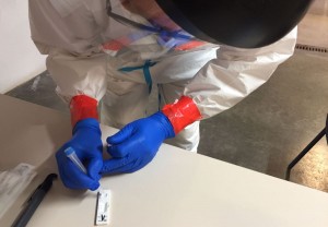 Sanidad registra 473 nuevos casos de COVID-19 en personas de ms de 60 aos 