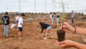 Estudiantes del IES Vecindario y del IES La Minilla plantan 200 tarahales en las Salinas de Tenef 