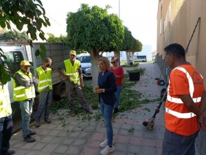 SBT avanza con el Plan Integral de Limpieza y arreglo de zonas verdes y de  ocio infantil del Municipio