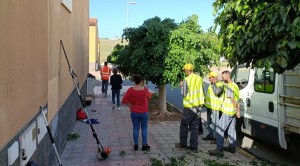 San Bartolom de Tirajana  avanza con el Plan Integral de Limpieza y arreglo de zonas verdes y de ocio infantil del municipio