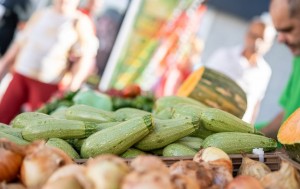 Ingenio celebra su duodcima edicin de la Feria Km.0 Gran Canaria los das 26 y 27 de noviembre 