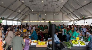 El aguacate moganero vuelve a triunfar en su feria de invierno de Arguinegun