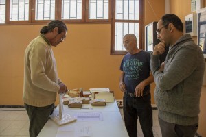 90 agricultores de Mogn se  benefician  de la  2 campaa contra la polilla de ctricos y olivos
