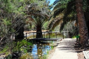 Maspalomas te invita a celebrar el 