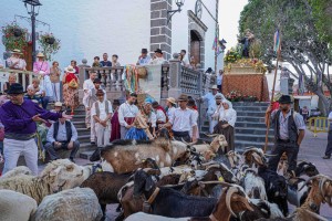 La Romera-Ofrenda a San Antonio El Chico, tradicin y parranda con 5.000 asistentes