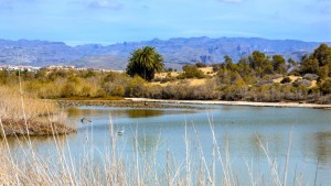 El proyecto Natalie controlar la contaminacin de las aguas pluviales en Maspalomas