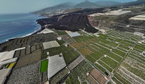Aprovechan la catstrofe volcnica para especular con el precio de pltano a costa de los agricultores